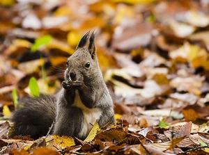 パソコンの処分や液晶モニターの廃棄の事なら札幌 ネクスト・ゼロワンへ!当日対応にて無料回収中!